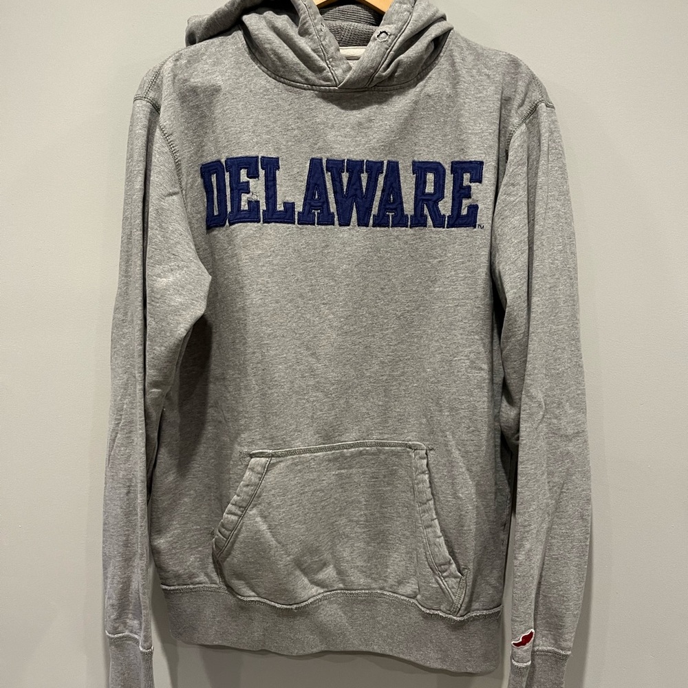 Delaware Gray Hoodie